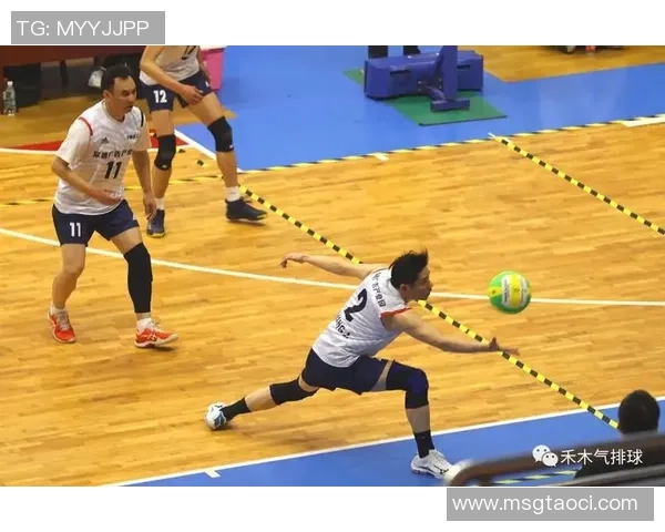 从零基础到排球高手：全面掌握排球技术与实战技巧的终极指南