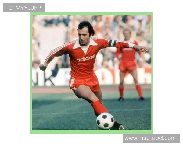 法国足球明星泽的传奇之路与辉煌成就揭秘